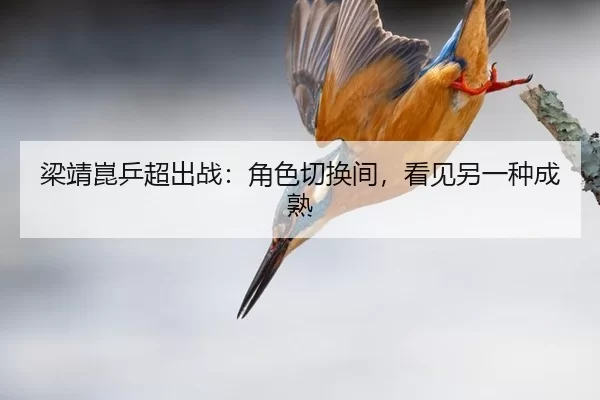 梁靖崑乒超出战：角色切换间，看见另一种成熟（okooo）